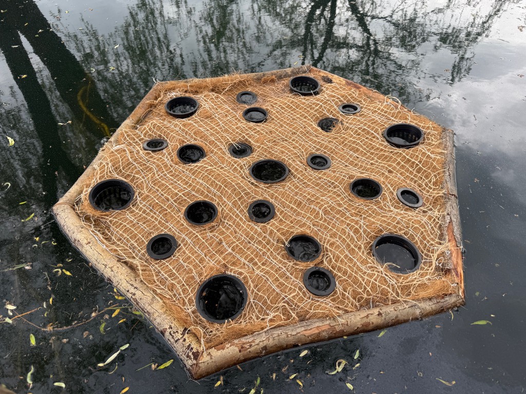 Hexagonal raft prototype from above showing white mesh netting over coir substrate and planting ports.