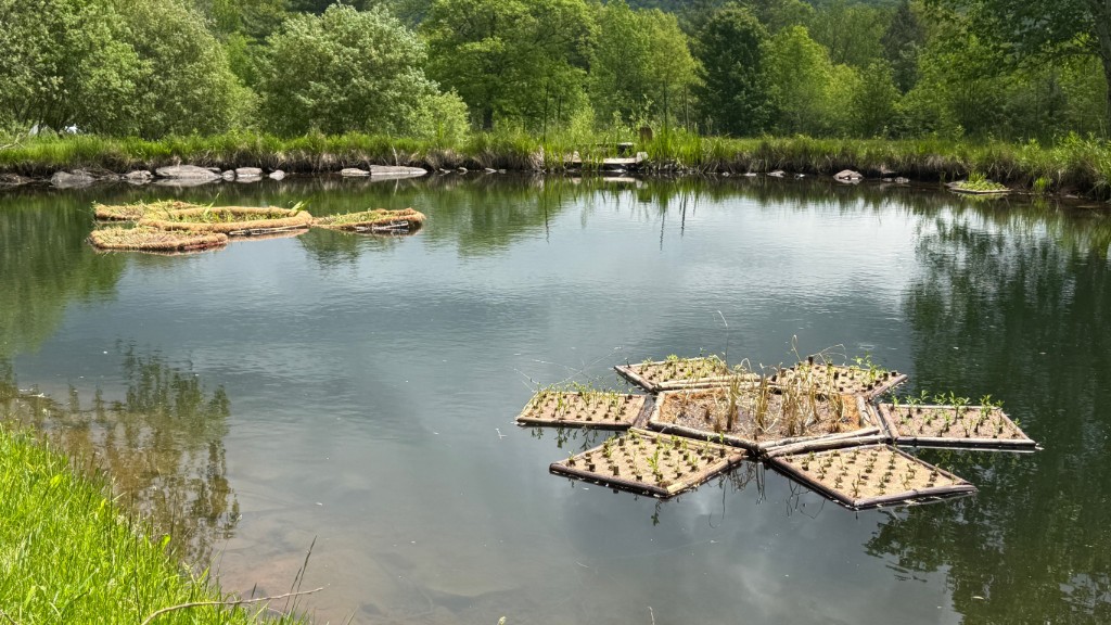 Modular Floating Treatment Wetland prototypes — hexagonal and square rafts with young plants — floating on an oxbow pond surrounded by trees.